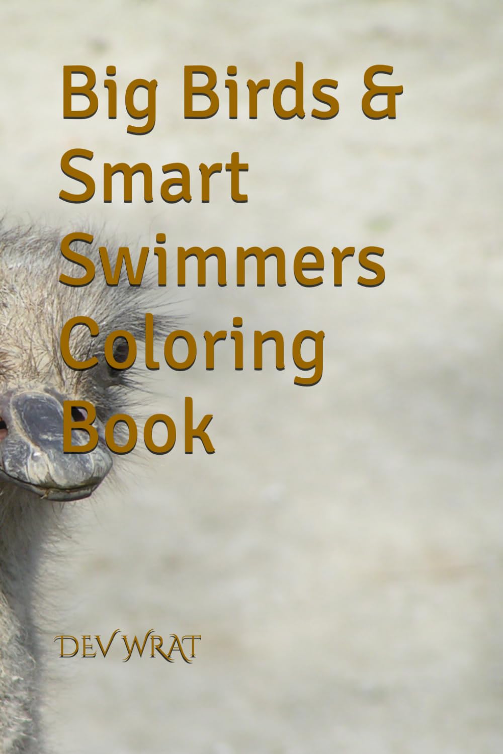 Big Birds & Smart Swimmers Coloring Book