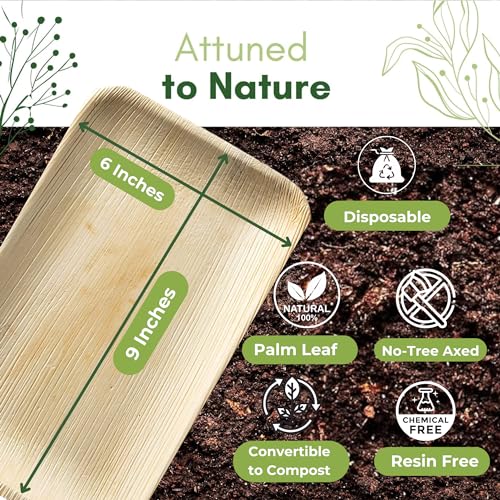Dtocs DTRE16X24VCP50 Palm Leaf Plates 6X9 Inch Rectangle Tray (Pack 50) | Disposable Bamboo Plates Look Biodegradable Compostable Plates, Mini Charcuterie Board, Cheese Board Platter thumb #4