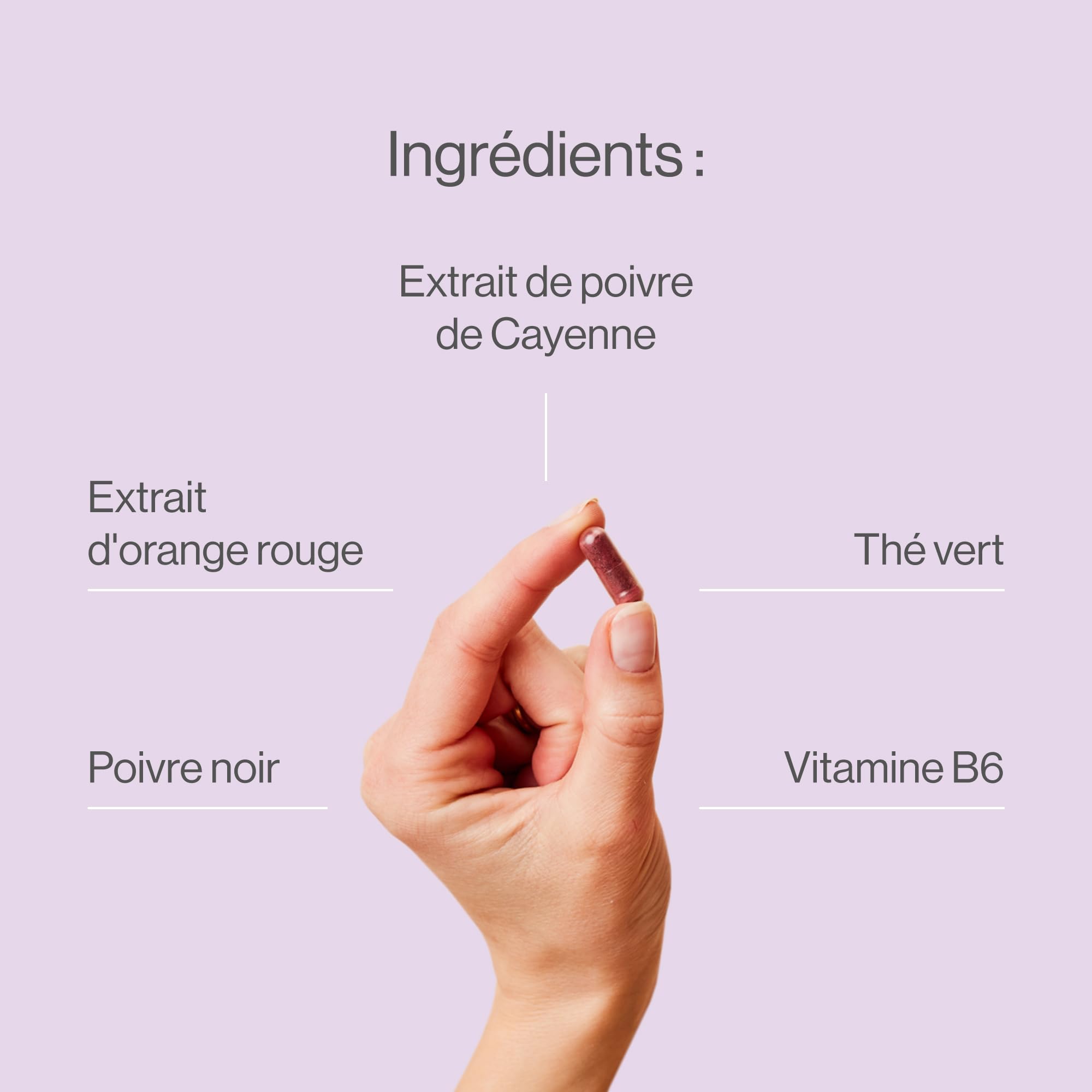Tummy Tox Belly Shaper - Morosil et Thé Vert, 90 Gélules | Poivre de Cayenne, Caféine, la Vitamine B6 contribue à un Métabolisme Énergétique Normal, Cure 3 Mois