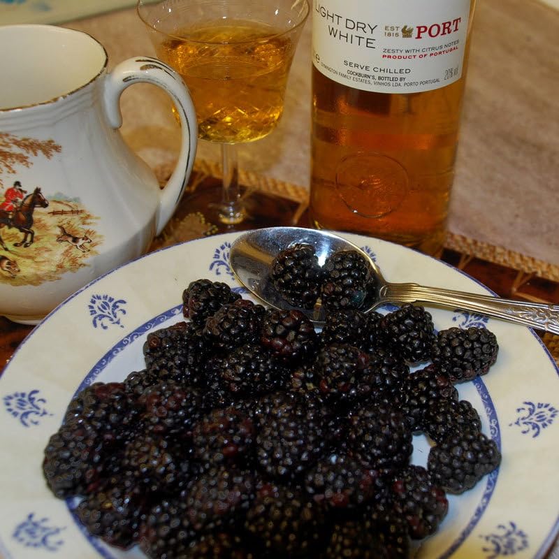 Plant World Seeds - BlackBerry Best Cultivar Mix Seeds (Edible Berry Seeds)