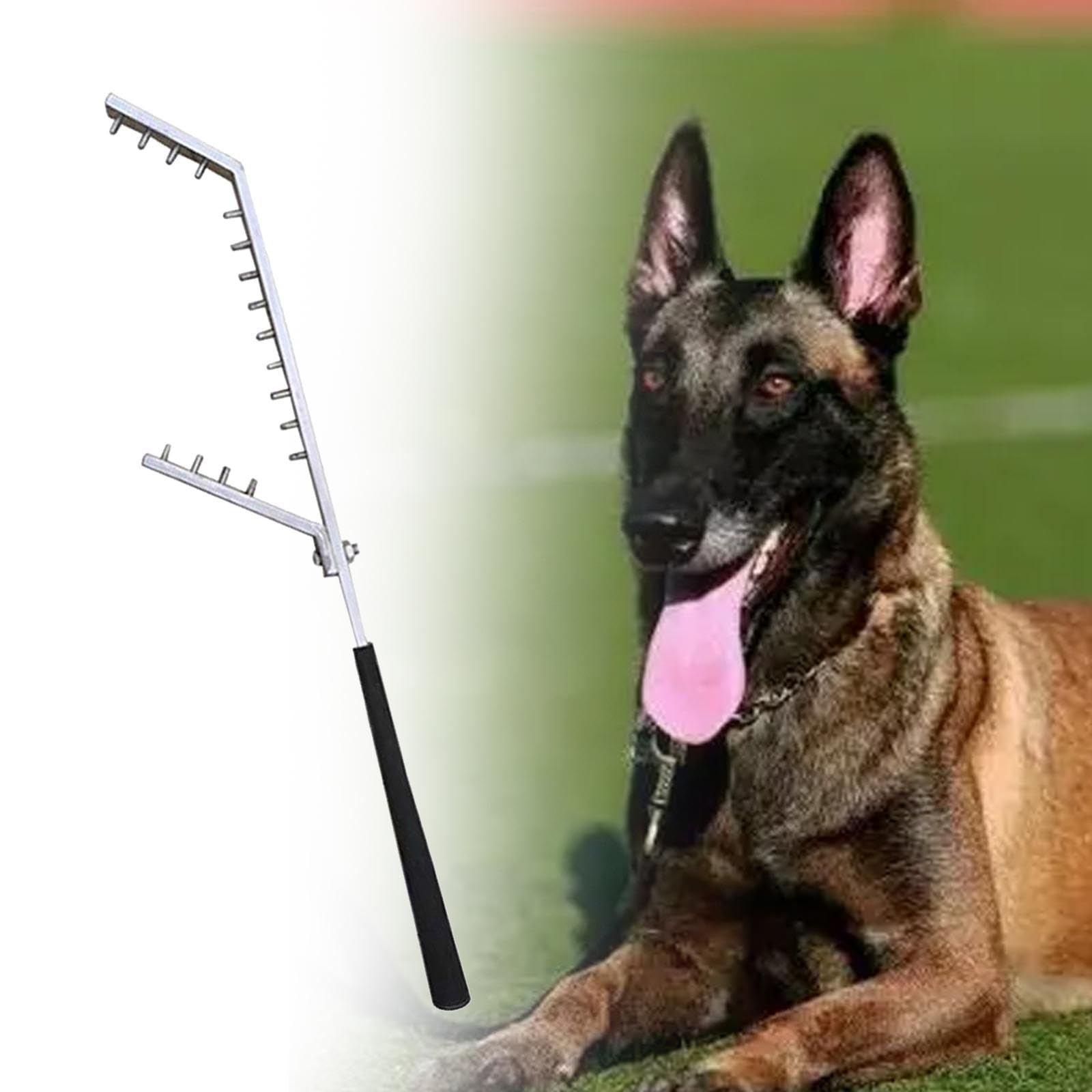 B Baosity Equipo Profesional de Entrenamiento para Perros: Palo de Aleación, Herramienta de Entrenamiento para Cachorros.