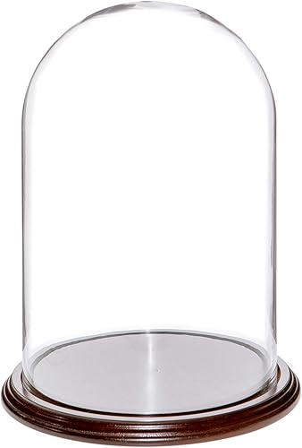 Miniatura 5 de Plymor 8" x 12" Pantalla de cristal Dome Cloche (base de chapa de roble)