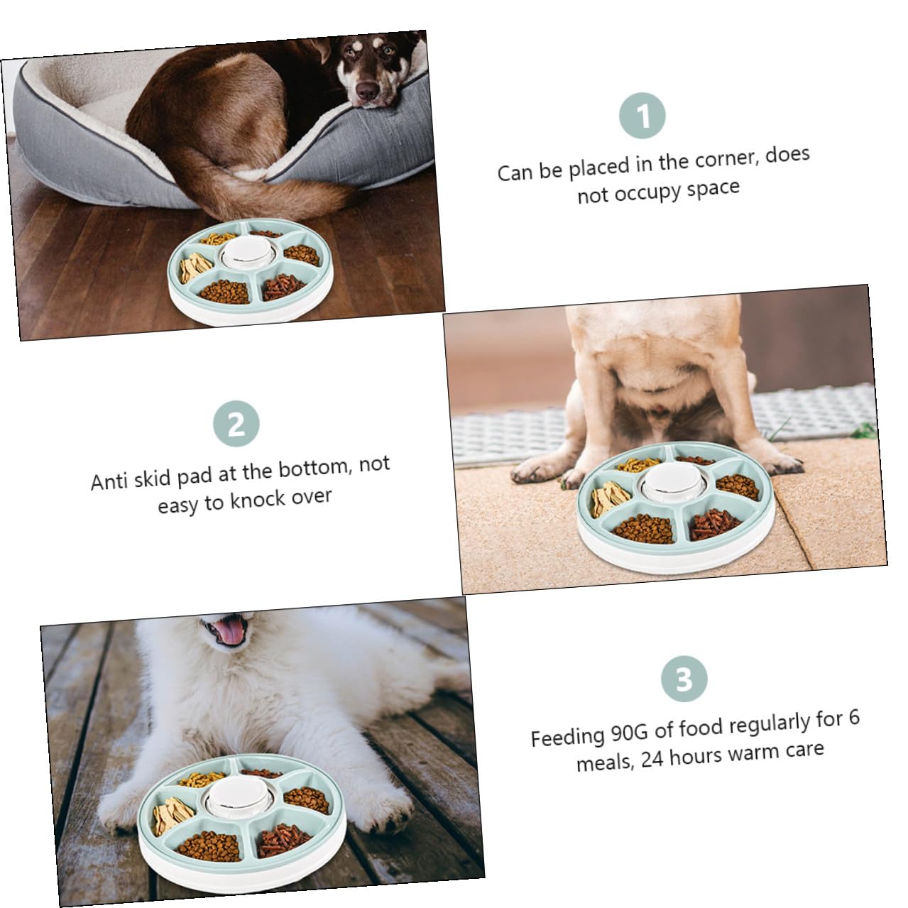 DOITOOL Comedero Automático para Perros con Temporizador, Seis Compartimentos ABS Antideslizante Comedero Mascotas