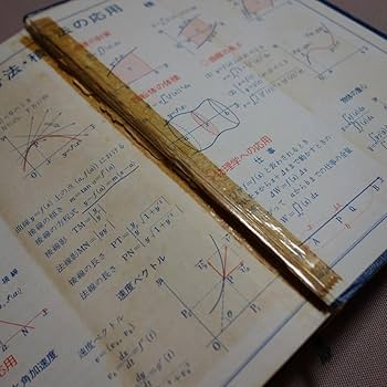 自然の数理と社会の数理 I・II セット 自然の数理と社会の数理 I 、Ⅱ巻セット