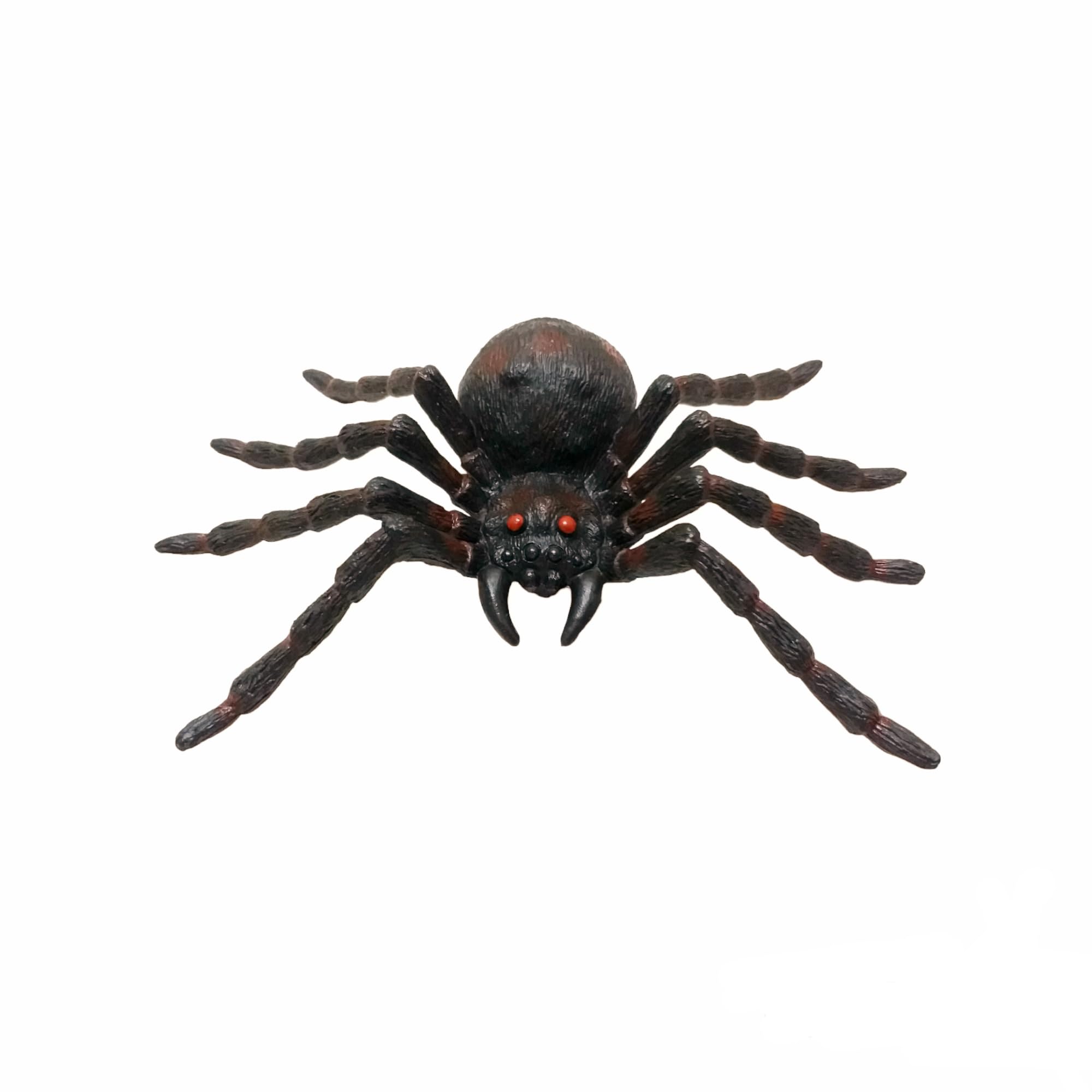 FAM Giant Spider Halloween For Halloween Decorations - Halloween Spider For Spider Decorations - Realistic Spider- Fake Giant Spider