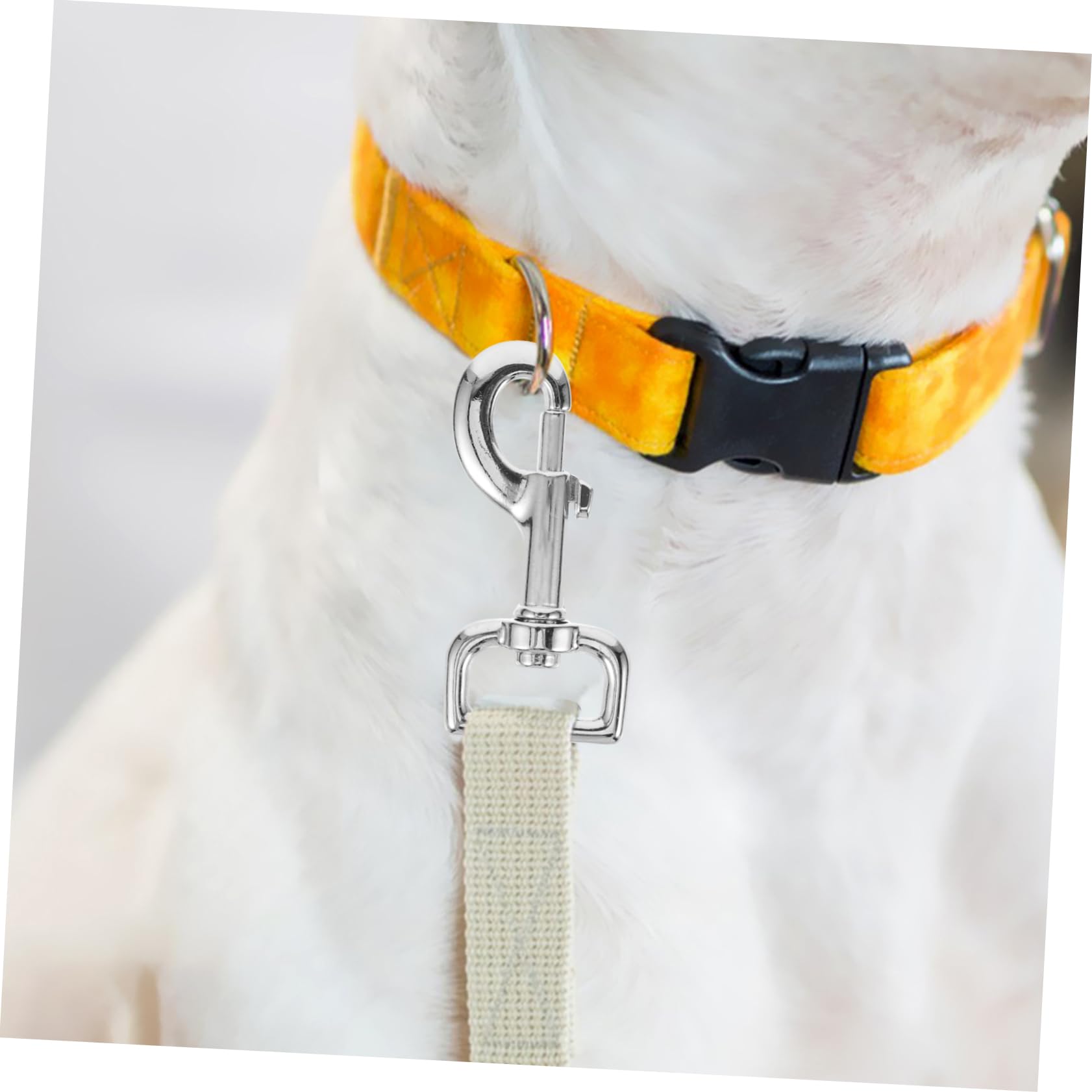 HANABASS 10pezzi Ganci Moschettone Rotante Metallo Per Guinzaglio Per Cani Chiusura Facile e Duratura Per Catena Per Animali Domestici Accessorio Pratico Per Passeggiate e Allenamenti
