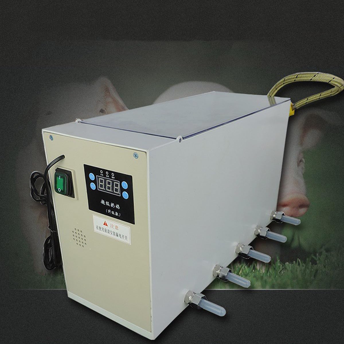 Mangeoire porcelets acier inoxydable avec chauffage intelligent et son pour élevage