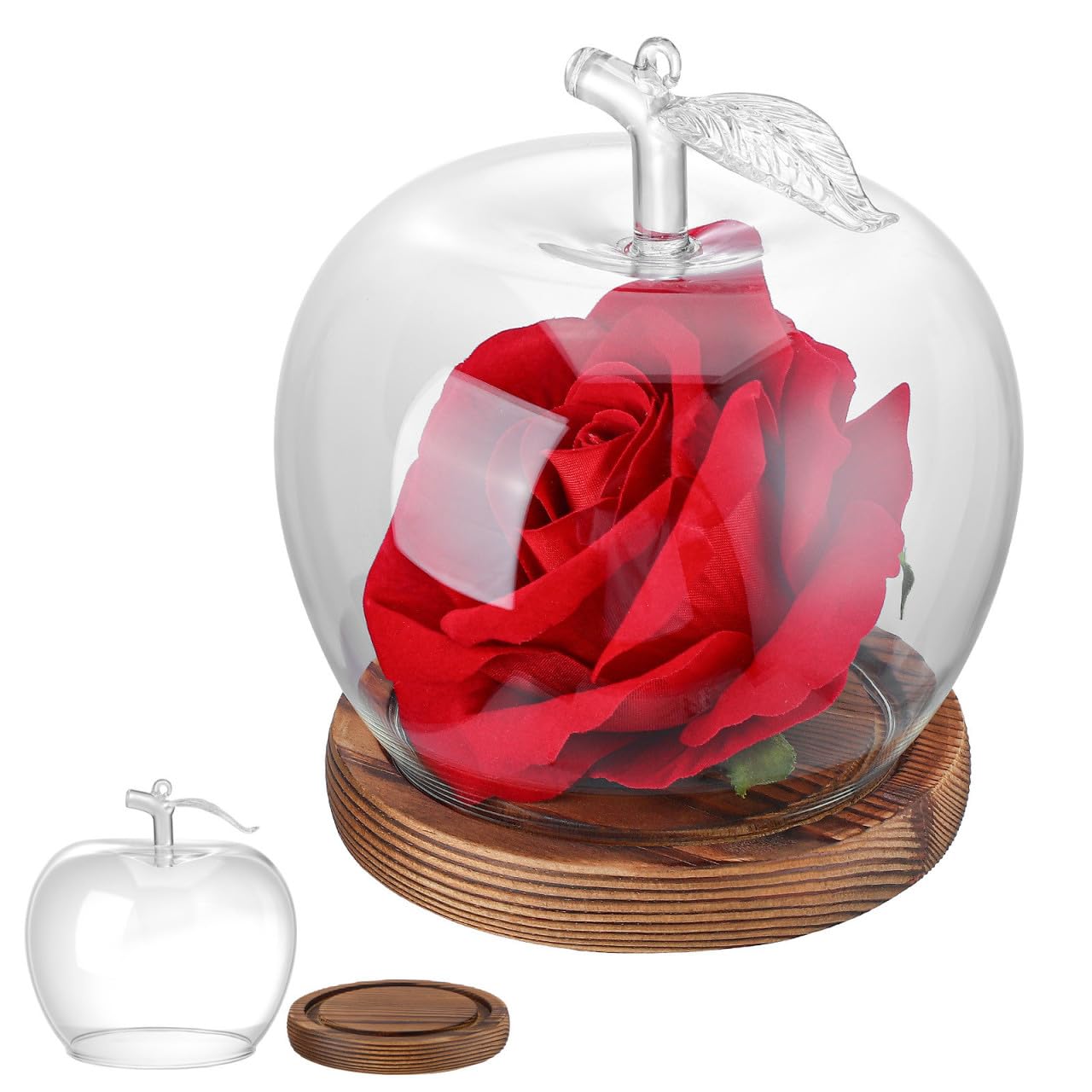 Cúpula para flores preservadas ideal en San Valentín