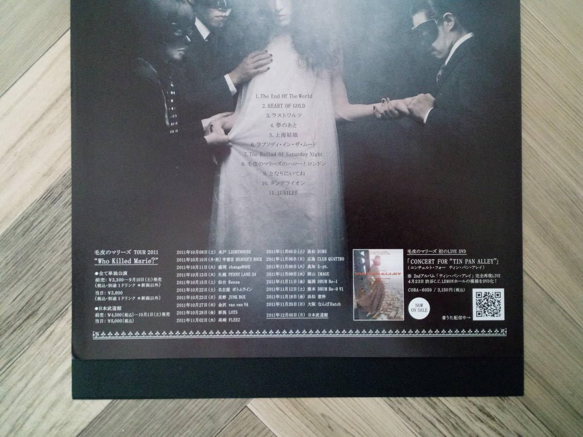 Amazon.co.jp: 毛皮のマリーズ『THE END』アルバム広告2011年ポスター