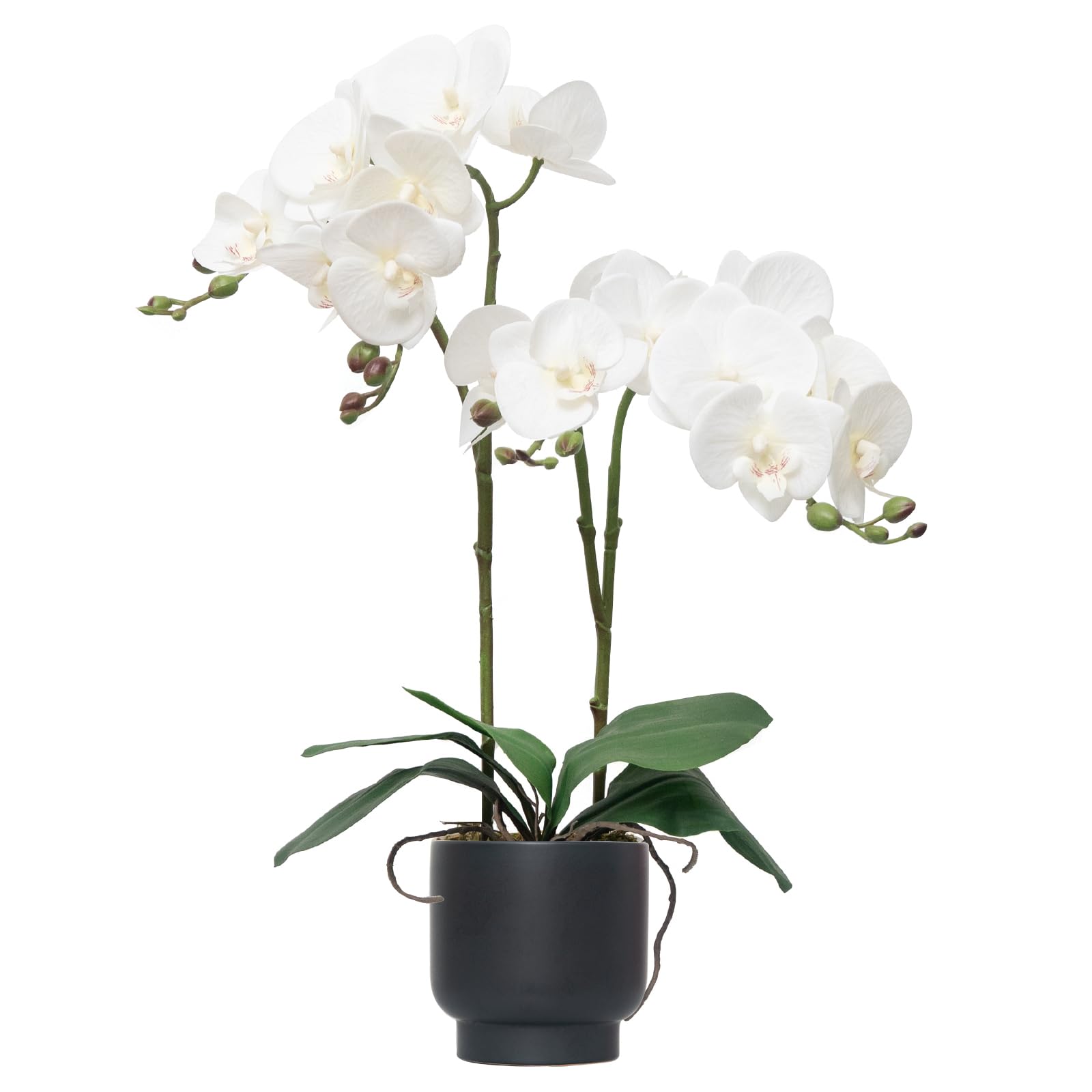 CXGS Artificial Orchid