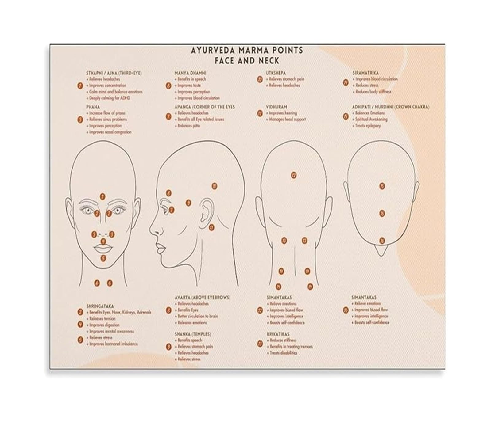Kcdfdvjfbm Unframed Ayurveda Points Canvas Art - Marma Points Guide For Face And Neck, Wall Decor(,08X12inch(20X30cm))
