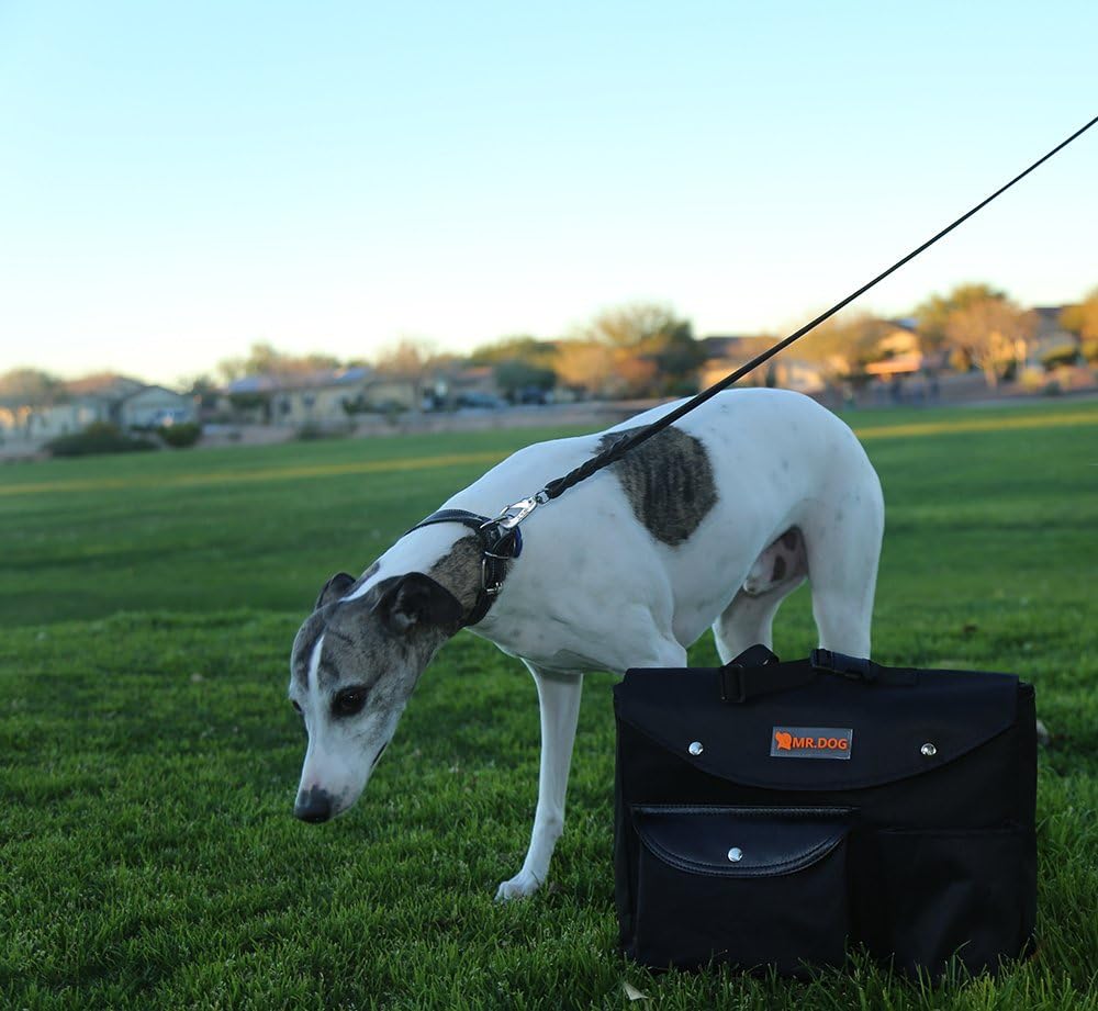 BLUESUN Dog Car Seat Covers Hammock Waterproof Nonslip Quilted for Car Truck and SUV with Bonus Bag : Pet Supplies