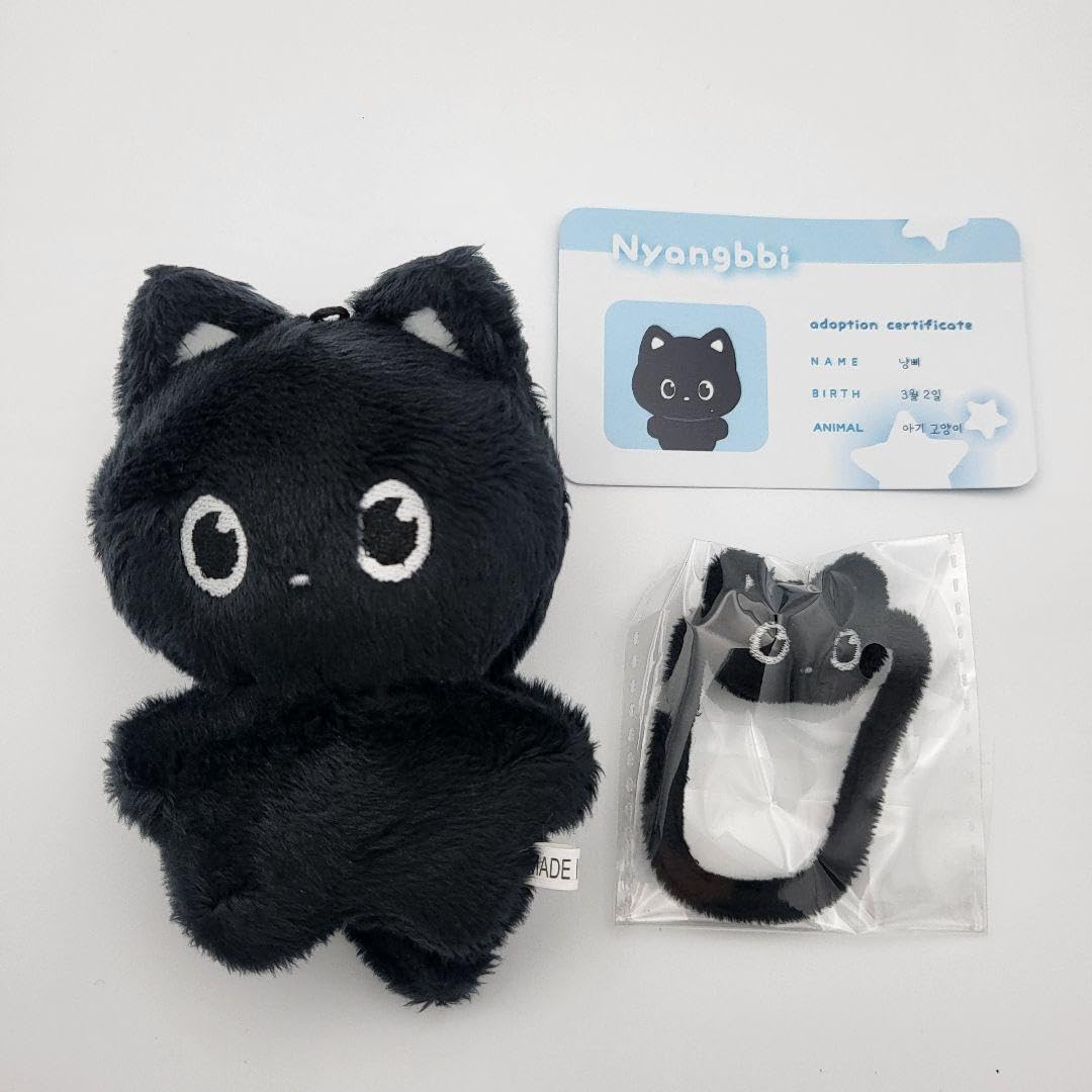 RIIZE ウォンビン セット RIIZE ウォンビン WONBIN ホールツアー トレカ 6枚 コンプ