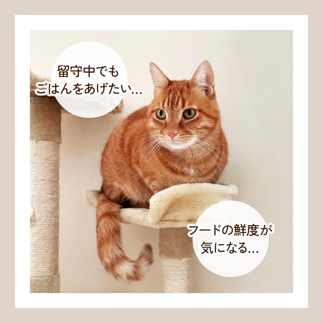 Amazon | NAKURAM ナクラム ペット用真空オートフィーダー 4L 犬猫用