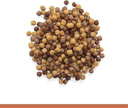 Miniatura 44 de ZuPreem Sensible Seed - Alimento para pájaros, cacatúa, tortolito, cuáquero, conuro pequeño, mezcla de semillas y pellets para aves medianas, mezcla