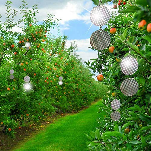 Repeller glitter disque pour préserver les cerises du jardin - 5