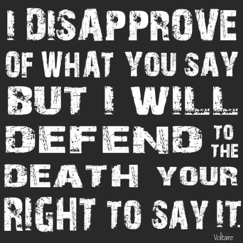 BUY ART FOR LESS Motivational Voltaire Quote 12"x12" Image Paper Size 13"x19" Home/Office Decor!