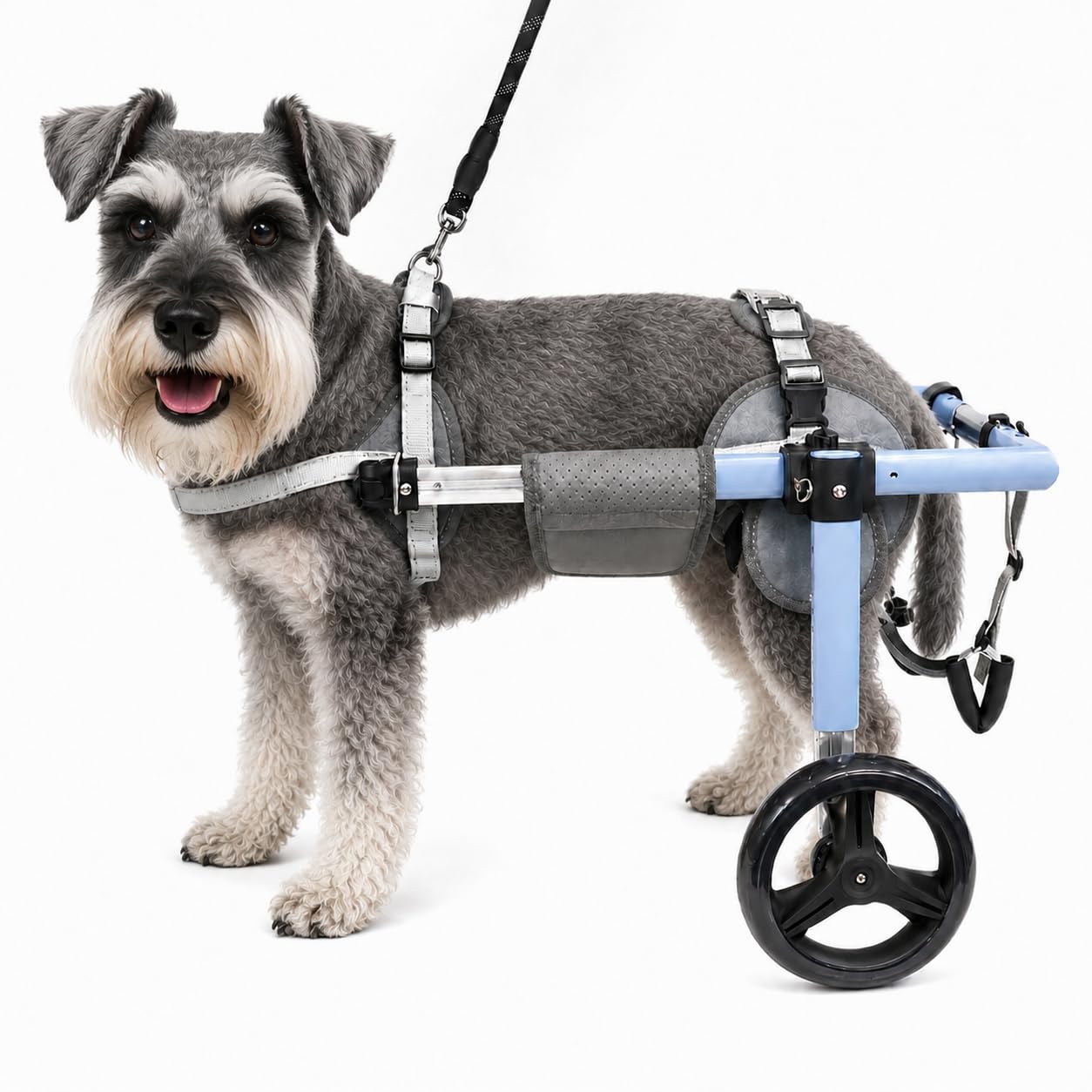 JoyKeeper Dog Wheelchair for Back Legs, Adjustable Rear Support, XS-XXL，S