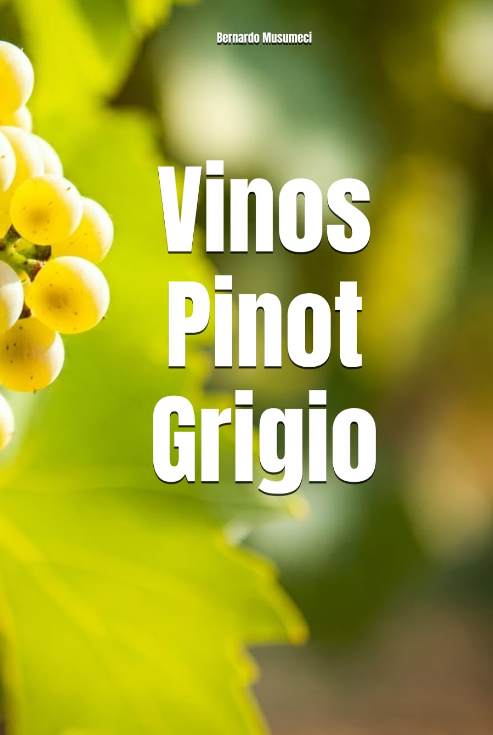 Vinos Pinot Grigio (Wines of the World: Italy)