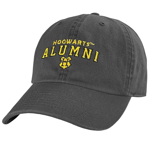 Popfunk Official Harry Potter Houses Arch Pop Culture Dad Hat - The U18 Adjustable Relaxed-Fit Cap-Unisex for Men and Women