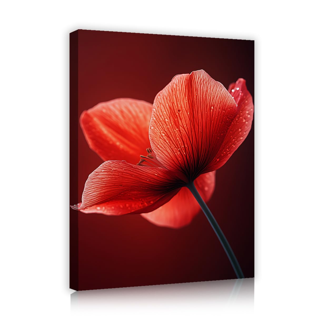 Via Vela Czerwone kwiaty wydruki na płótnie natura botaniczna kwiatowa piękna sceneria kropla wody płatki farby plakaty ścienne do dekoracji salonu 60x80cm