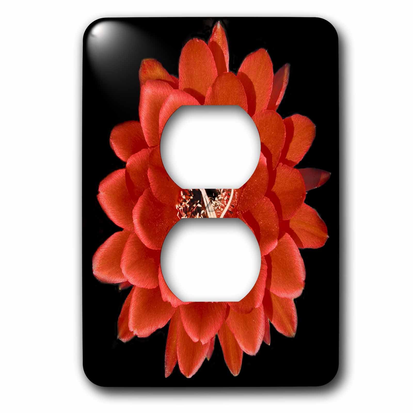 Cactus Southwest plaque pour cacher les prises de courant standard vilaines - 3