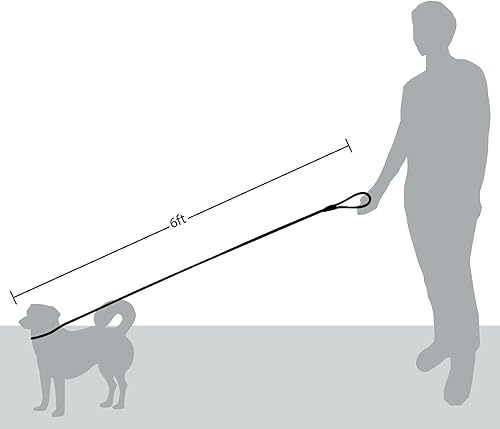 Miniatura 6 de Friends Forever Correa extremadamente duradera para perro de alta calidad para escalada de montaña fuerte resistente y cómoda soporta el tirón más