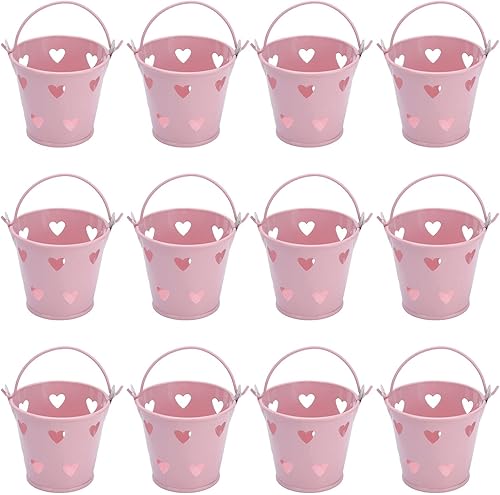 Cubo de metal de hojalata con asa, cubo de hojalata, 12 piezas mini cubo hueco de almacenamiento de dulces y aperitivos, manualidades de jardinería