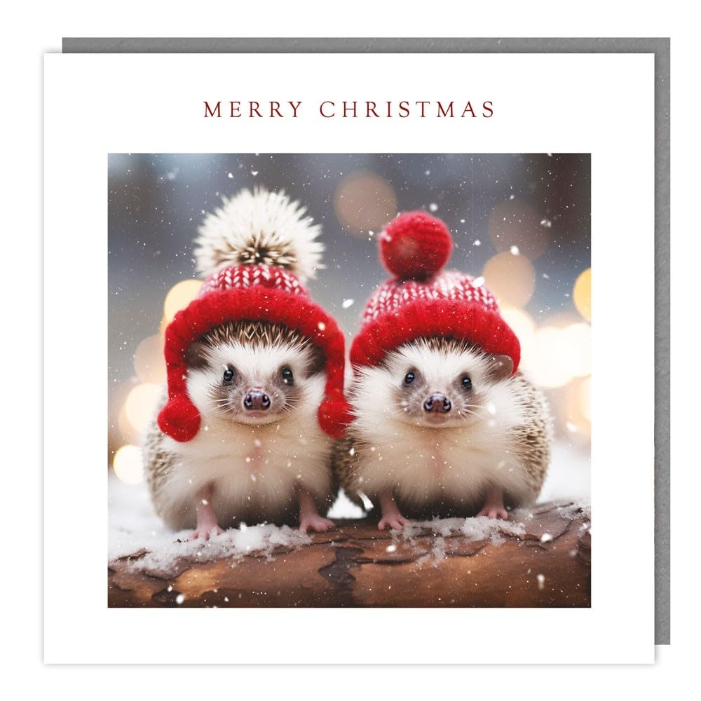 Tracks Publishing Charity Christmas Cards Pack of 5 - Charity Christmas Cards with a Snowy Hedgehogs in Hats Design - Eco-Friendly Xmas Cards Multipack with Envelopes