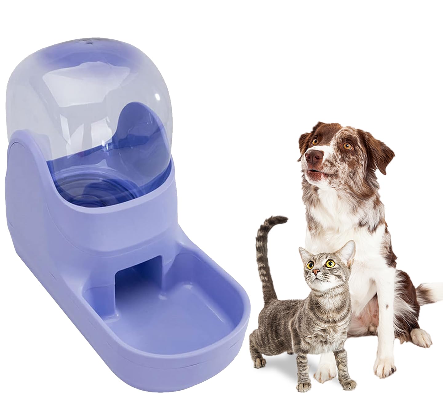 See full amazon price history chart for Evona Pet Dog Cat Automatic Water Dispenser Transparent Cat Drinking Bottle Dog Bowl Stand Water Feeder Cat Water Dispenser Pet Water Dispenser Cat Dog Feeding Bowl Drinking Water Evona Pet Dog Cat Automatic Water Dispenser Transparent Cat Drinking Bottle Dog Bowl Stand Water Feeder Cat Water Dispenser Pet Water Dispenser Cat Dog Feeding Bowl Drinking Water (B0CQXPP9J5) Amazon Price History, Amazon Price Tracker