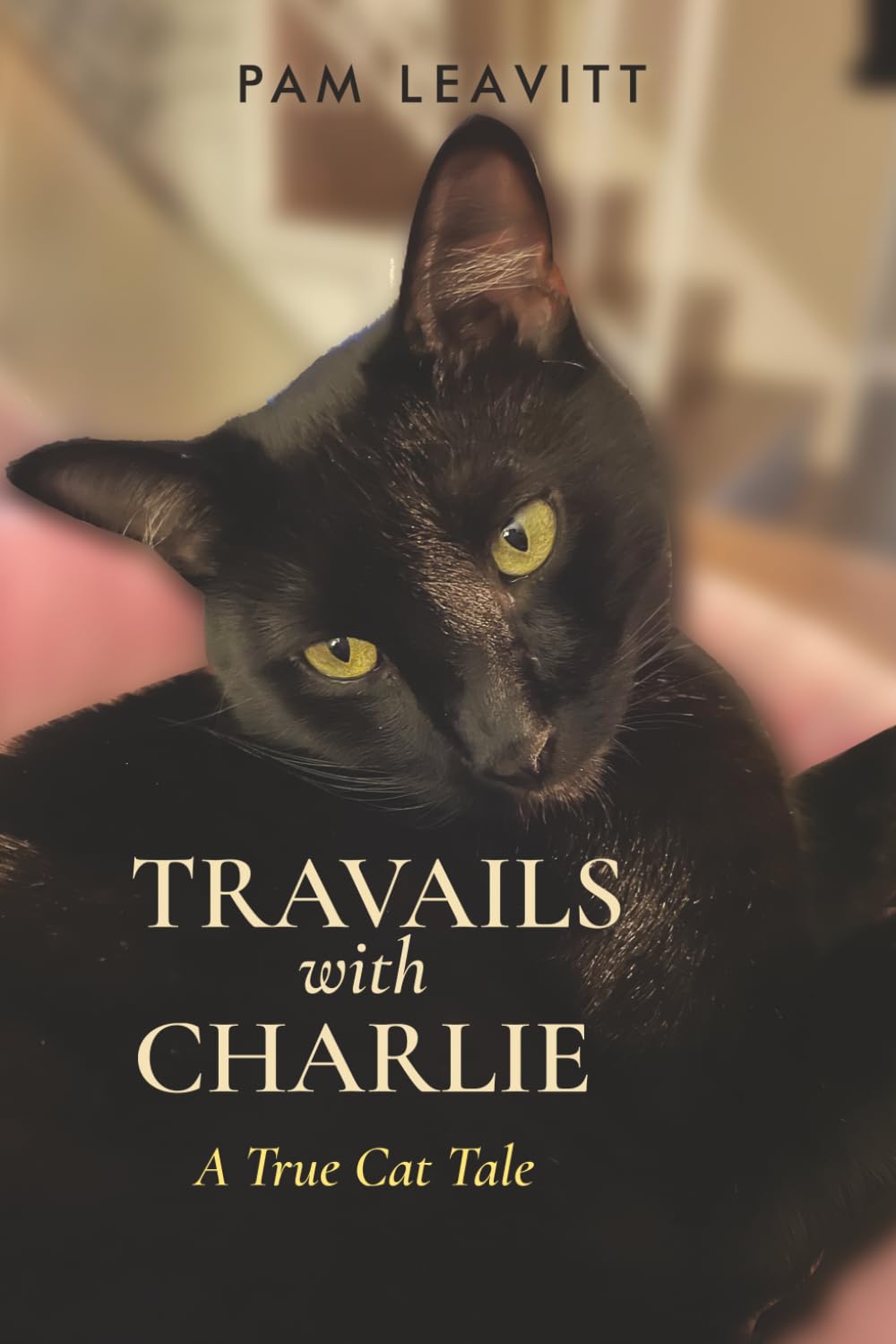 Travails with Charlie: A True Cat Tale