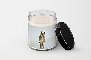 Australian Dingo on Beach Candle, Soy Wax Candle, Birthday Christmas Gift Idea