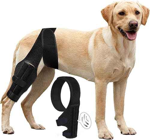 M - Rodillera para perro para desgarro de ACL, rótula luxante y artritis - Soporte ajustable para pierna trasera, ligamento cruzado y recuperación