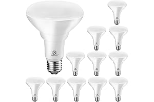 ENERGETIC LED Recessed Light Bulbs BR30: Your Gateway to Illuminating Spaces