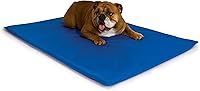 K&H Cool Bed III Cooling Mat for Medium Dogs - 32x22in Indoor/Outdoor Pet Bed, Non-Toxic Chill Blue Cooling Pad