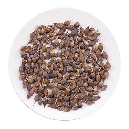 Akersunder Forsythia suspensa/Forsythia/Weeping Forsythiae Capsule/Fructus Forsythiae 500g. Smoke-Fr