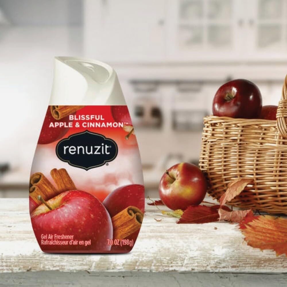 Amazon.com: Renuzit, Blissful Apple & Cinnamon, 7 Ounce : Health