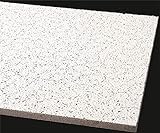 Armstrong CEILINGS 770