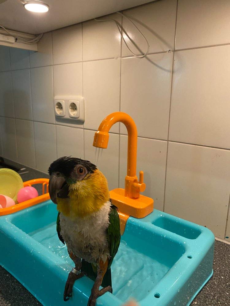 Vasca Da Bagno Per Uccelli Gobabo - Con Rubinetto Automatico, Giocattolo Per Pappagalli