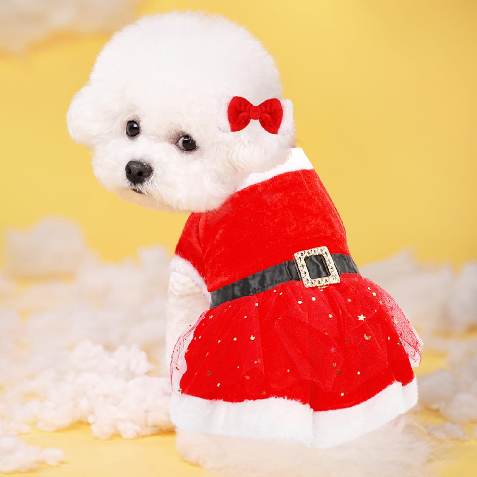 Lovely Pet Christmas Costume, Girl Dog Christmas Holiday Dress with Bow  Hairband, Cat Velvet Skirt Dog Costume Christmas Outfits for Small Medium  Cats Dogs Pets Cosplay Party Xmas New Year, (M)