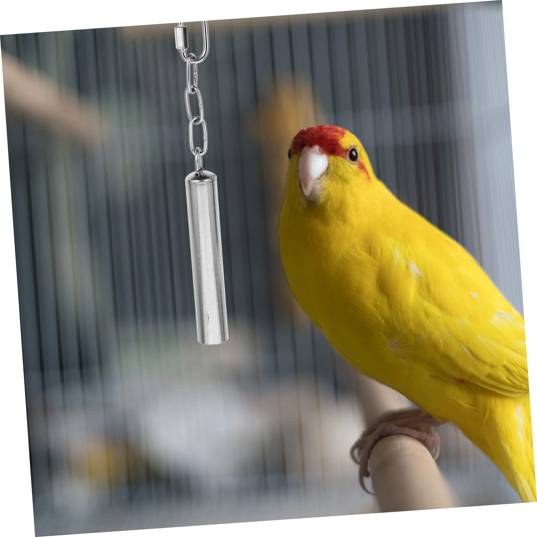 VANZACK 3stücke Vogelspielzeug Mit Edelstahlglocke Für Sittiche Und Papageien Und Sicheres Spielzeug Aktivität Und Ihres Für Vogelkäfige Dekoration