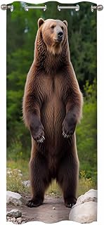 Bear Slider Long Curtains Funny Ferocious Beasts Blackout Grommet Curtain for Bedroom Kitchen Shower Living Room 34" W x 80" L,1 Panel