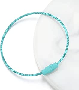 Amazon.com: Stainless Steel Wire Keychain, Key Ring Loop for Keychain ...