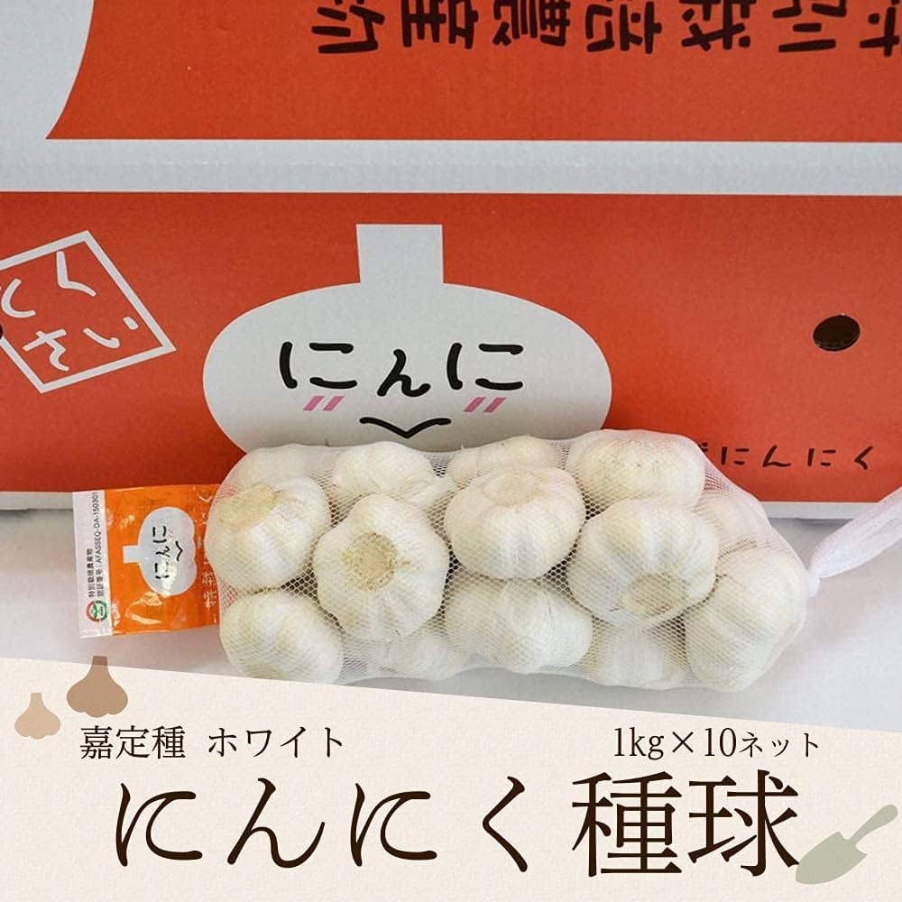 Amazon 特裁にんにく 嘉定種ホワイトにんにく種球 1kg 10ネット 中国産 サンフレッシュ にんにく 通販