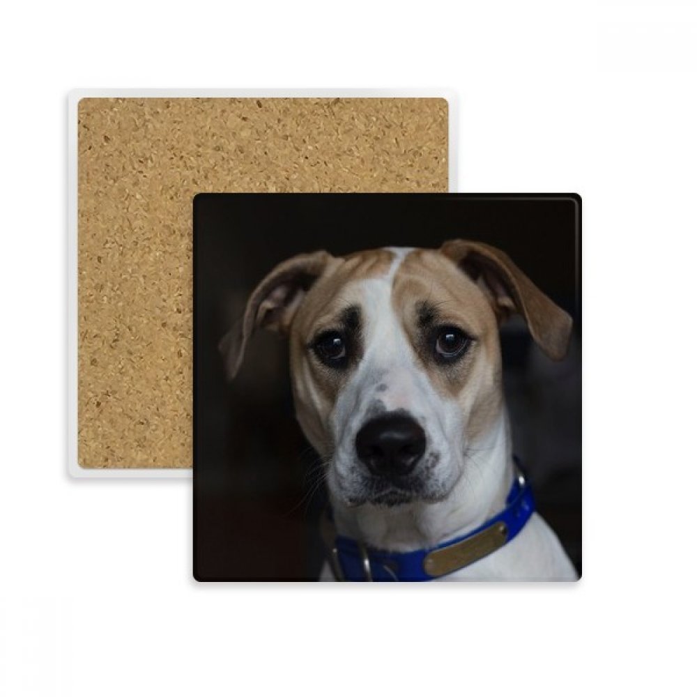 Sous-verre chien absorbant pierre dessous de table tasse animaux multicolore