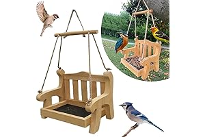 Window Swing Bird Feeder: A Delightful Dining Spot for Feathered Friends