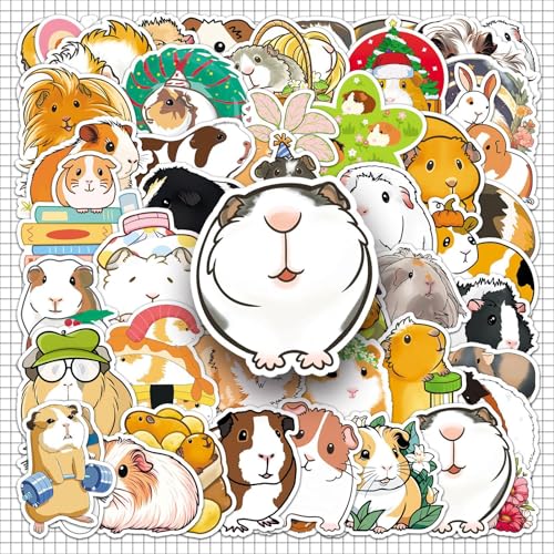 50 bgXebJ[Zbg  lC h XebJ[ X[cP[X M^[  oCN ]  wbg p\R X}z m[g   V[ fJ[ Xm{ XP[g{[h ו X}zP[X XP{[ bvgbv 