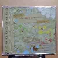 Pleasure seasons ～これまでも、ここからも～[会場限定CD] Amazon.co.jp: 未開封品 KOTOKO「Pleasure seasons これまでも