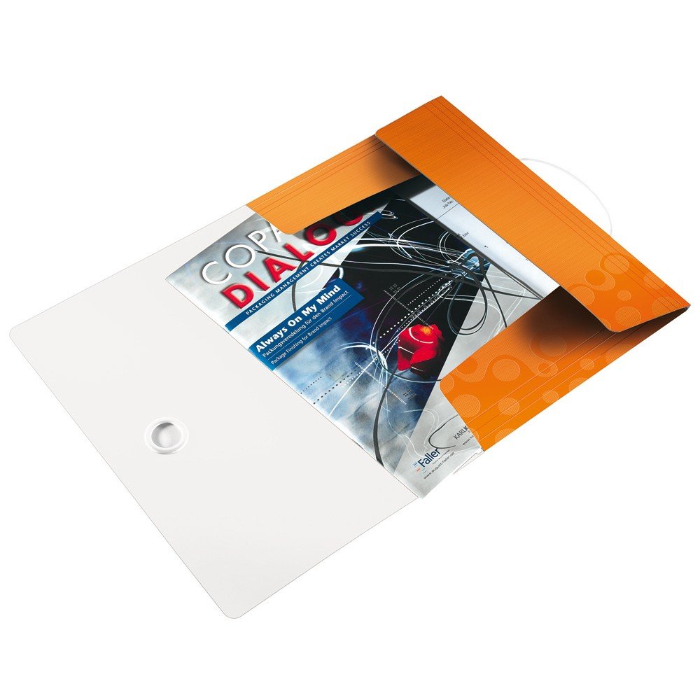 Leitz Wow Series (Colour: Assorted, Corners | DIN A4 | 6 Pieces)