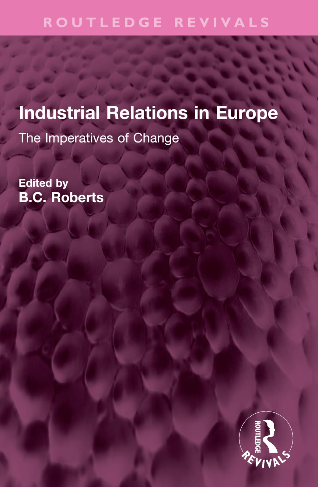 Industrial Relations in Europe: The Imperatives of Change (Routledge Revivals)